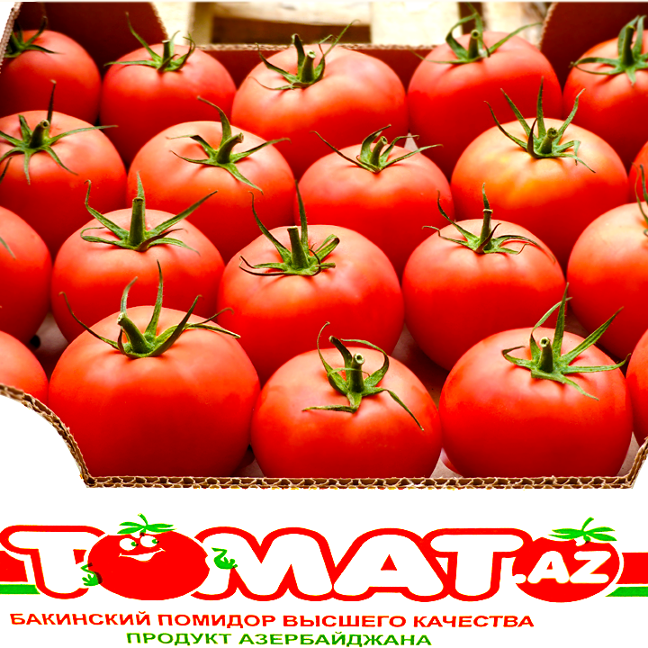 Image module